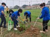 Đoàn thanh niên xã Mỹ Tài trồng cây xanh chào mừng Đại hội Đoàn TNCS Hố Chí Minh toàn Quốc lần thứ XII